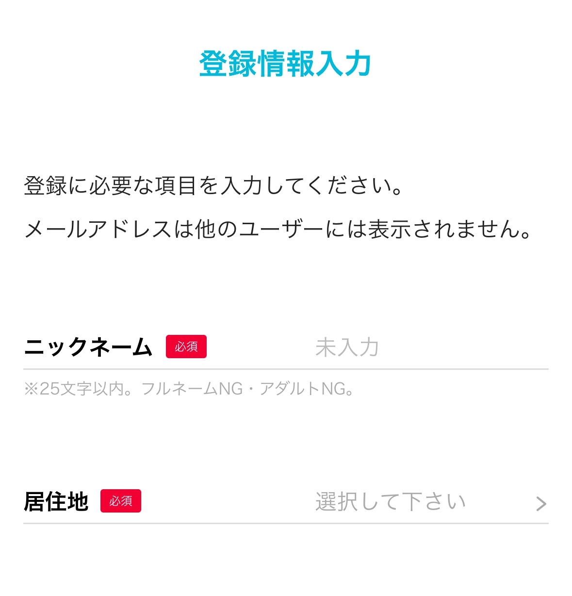 公式サイト画面-登録情報の入力画面